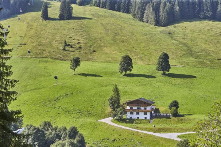 Chalet Wallehen Saalbach-Hinterglemm Eksteriør billede